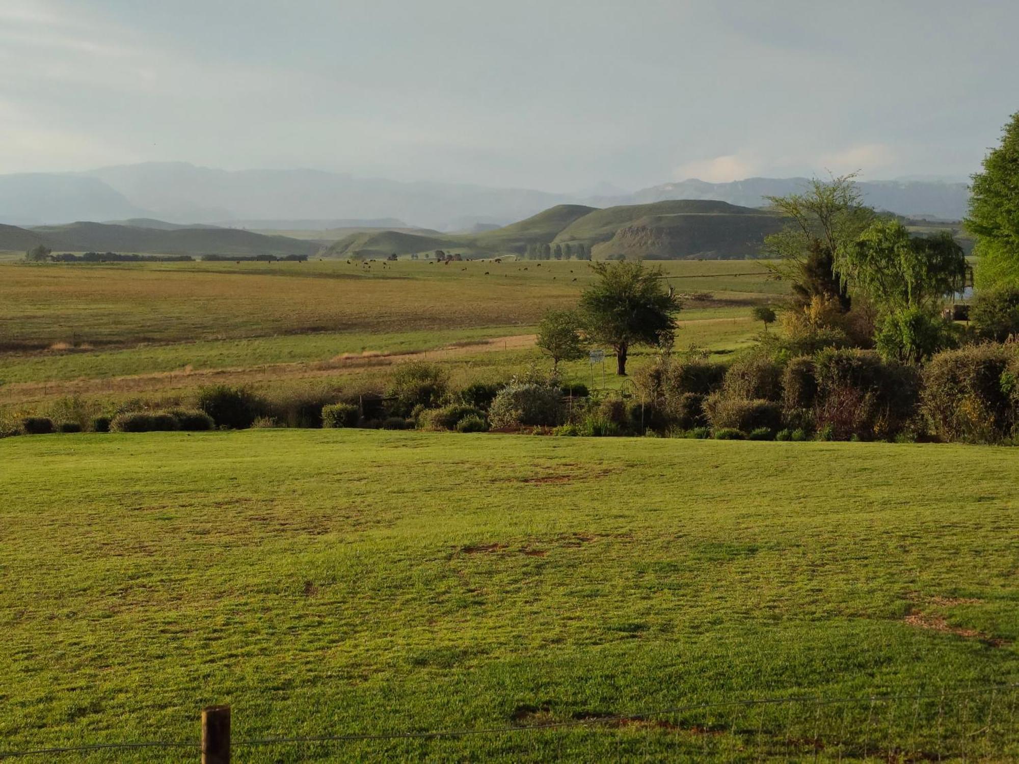 Sani Pass View Cottage Хаймвил Екстериор снимка